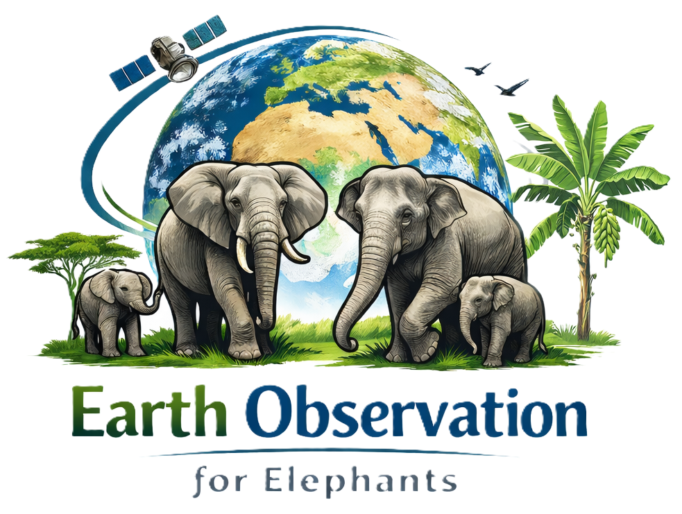 EO4 Elephants